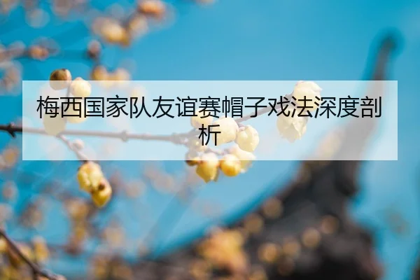 mei-xi-guo-jia-dui-you-yi-sai-mao-zi-xi-fa-shen-du-pou-xi-2-519.jpg