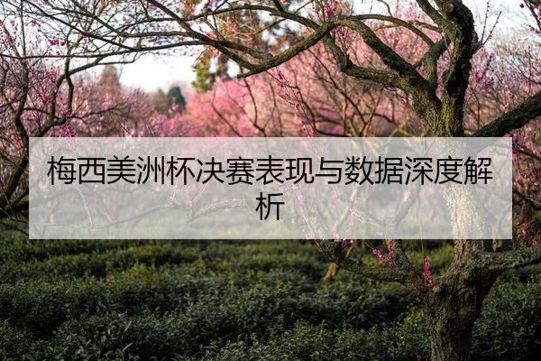 梅西美洲杯决赛表现与数据深度解析